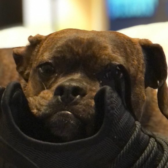 Meet your Posher, Jeremy - Picture 1 of 1